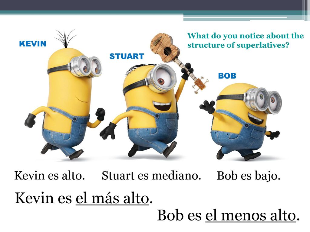 Kevin es el más alto. Bob es el menos alto. Kevin es alto.