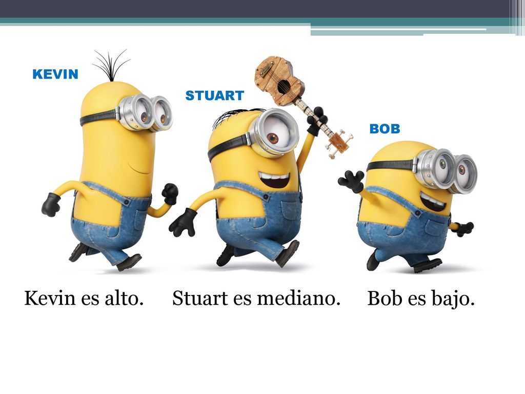 KEVIN STUART BOB Kevin es alto. Stuart es mediano. Bob es bajo.