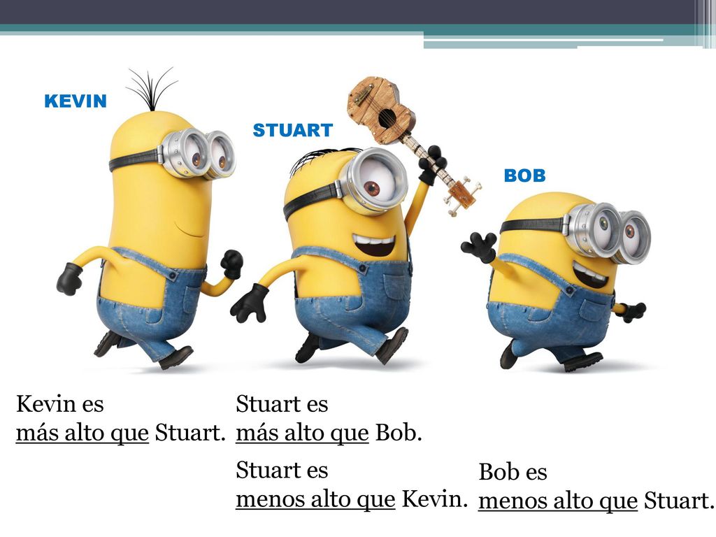 Kevin es más alto que Stuart. Stuart es más alto que Bob. Stuart es