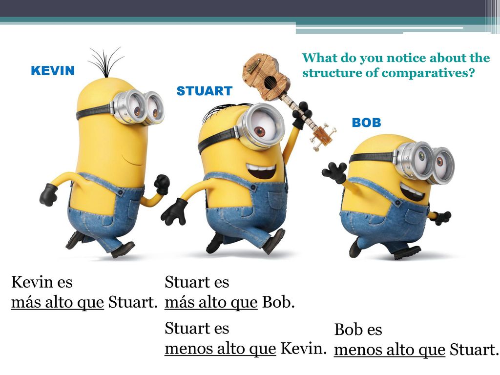 Kevin es más alto que Stuart. Stuart es más alto que Bob. Stuart es