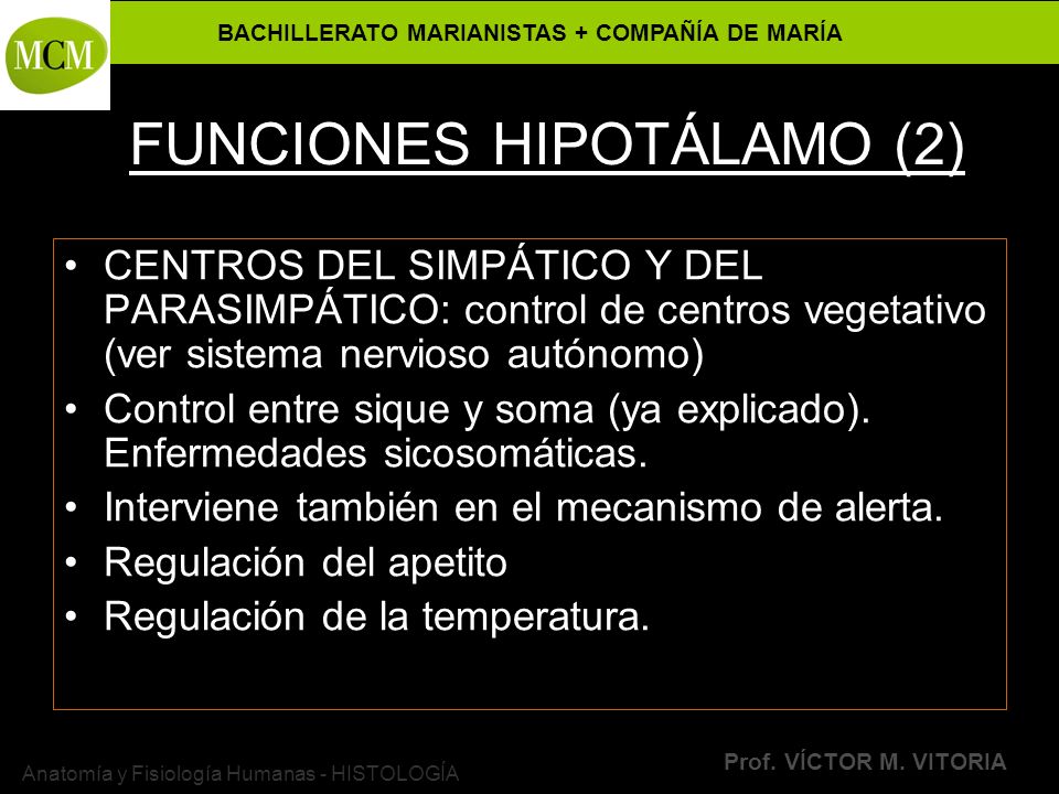 FUNCIONES HIPOTÁLAMO (2)