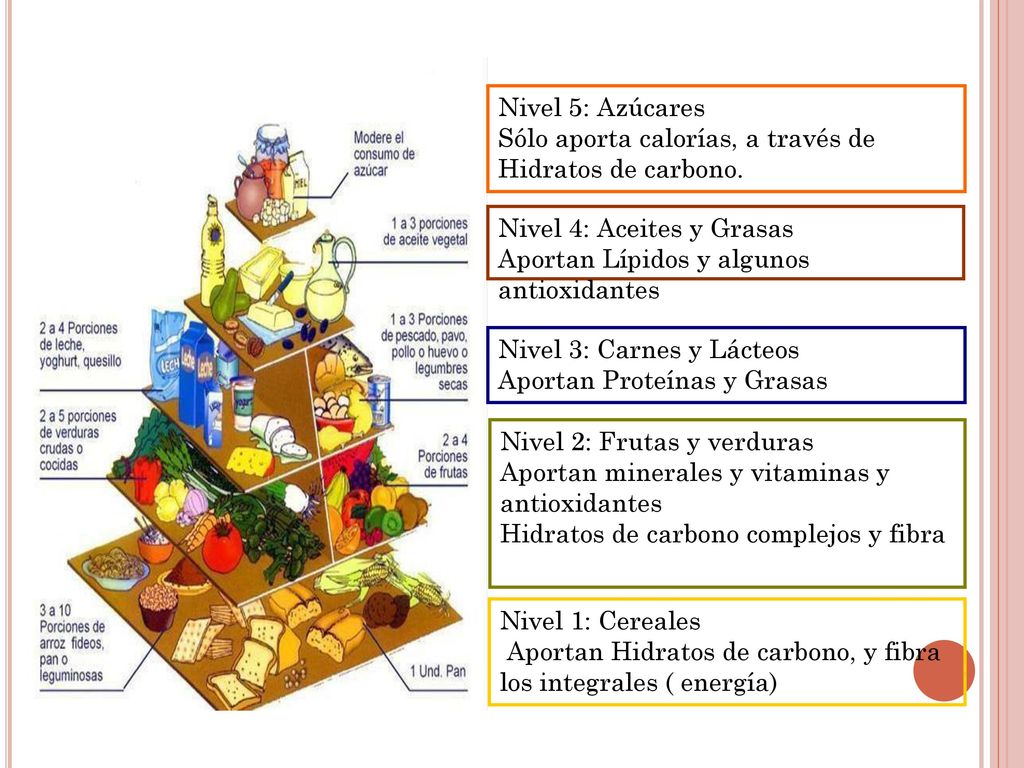 Nivel 5: Azúcares Sólo aporta calorías, a través de. Hidratos de carbono. Nivel 4: Aceites y Grasas.