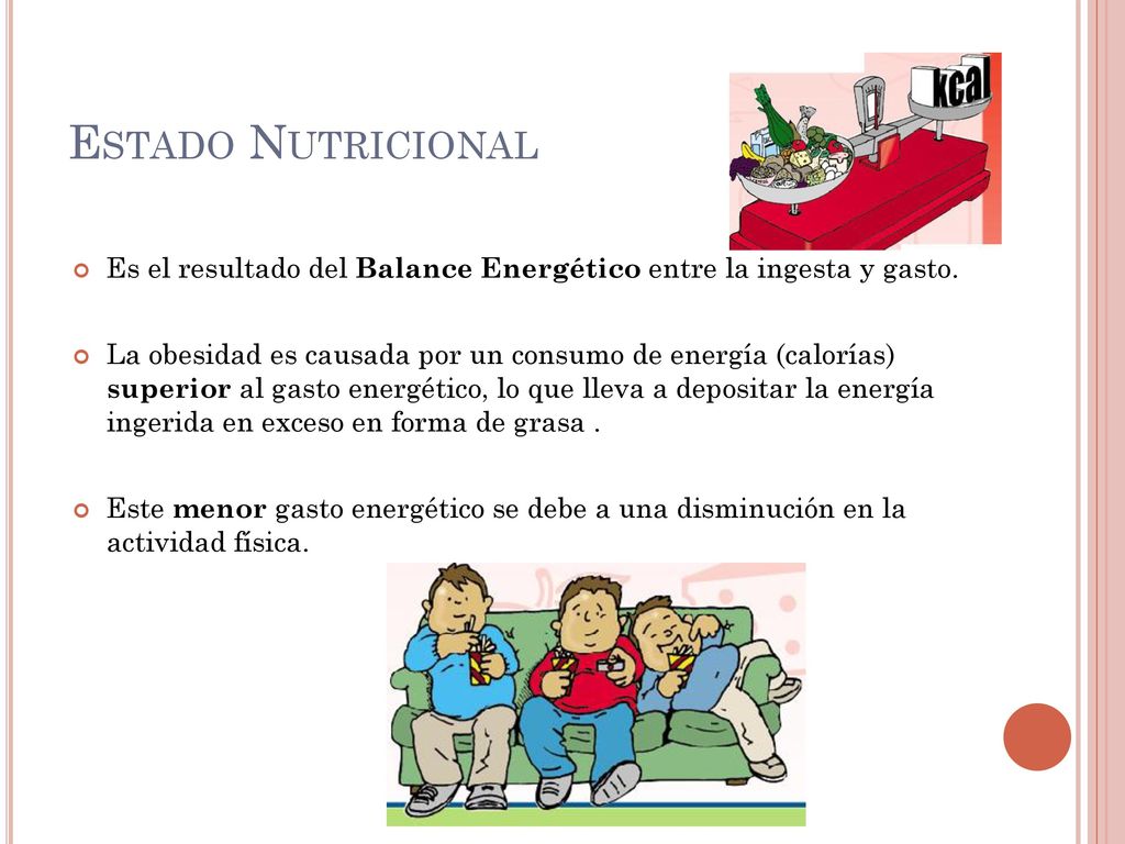 Estado Nutricional Es el resultado del Balance Energético entre la ingesta y gasto.