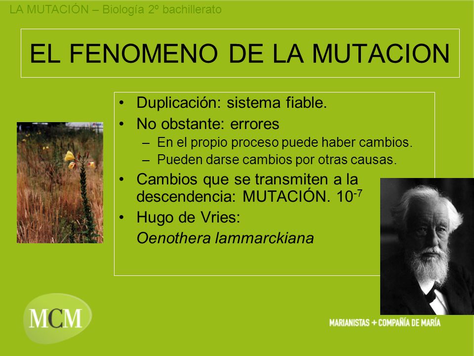 EL FENOMENO DE LA MUTACION