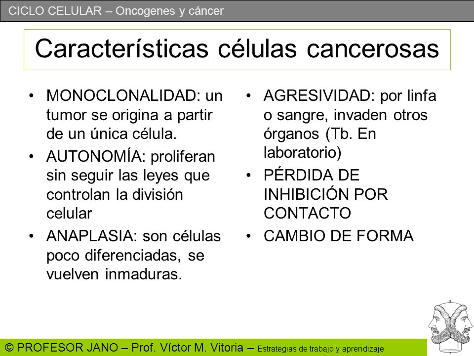 Características células cancerosas