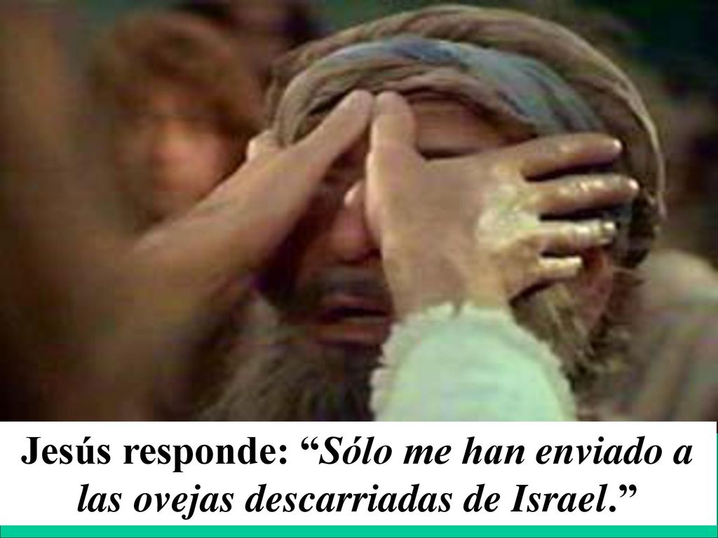 Jesús responde: Sólo me han enviado a las ovejas descarriadas de Israel.