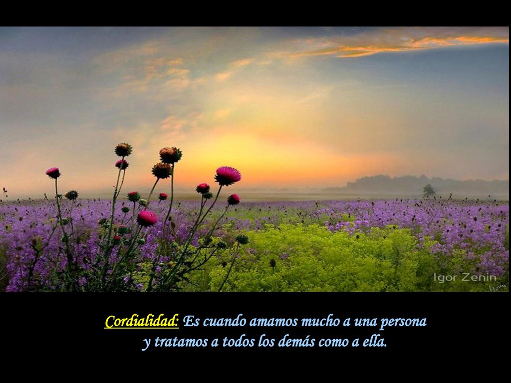 Cordialidad: Es cuando amamos mucho a una persona y tratamos a todos los demás como a ella.