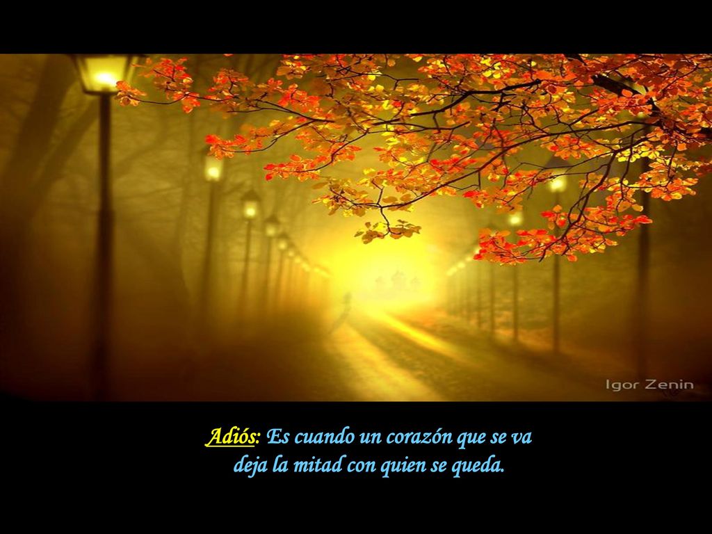 Adiós: Es cuando un corazón que se va