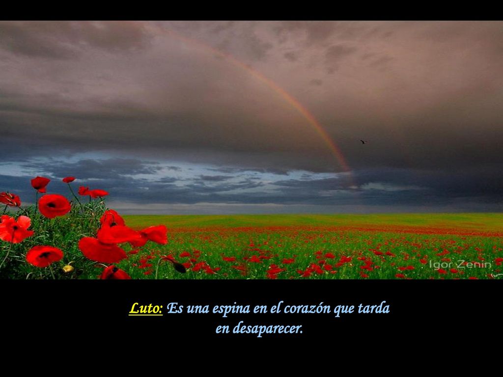 Luto: Es una espina en el corazón que tarda en desaparecer.