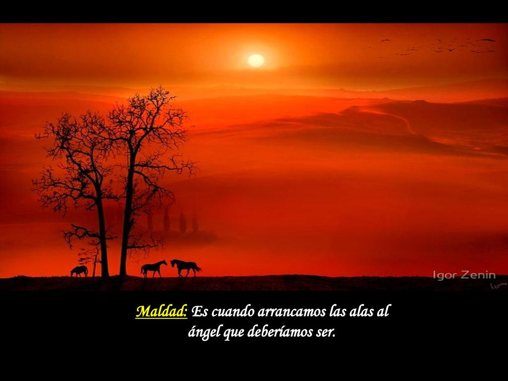 Maldad: Es cuando arrancamos las alas al ángel que deberíamos ser.