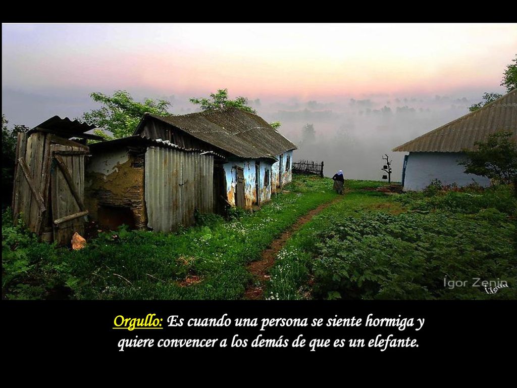 Orgullo: Es cuando una persona se siente hormiga y quiere convencer a los demás de que es un elefante.