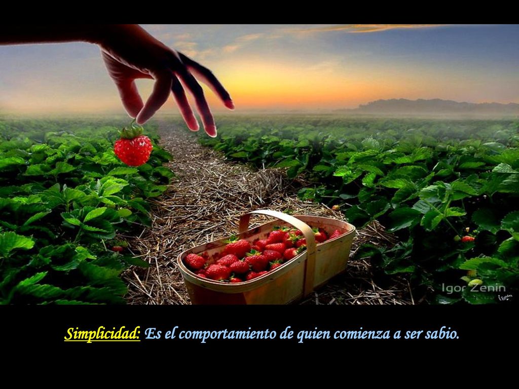 Simplicidad: Es el comportamiento de quien comienza a ser sabio.