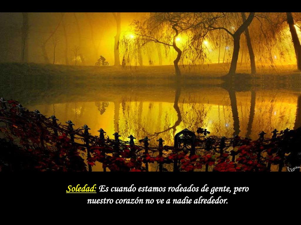 Soledad: Es cuando estamos rodeados de gente, pero nuestro corazón no ve a nadie alrededor.