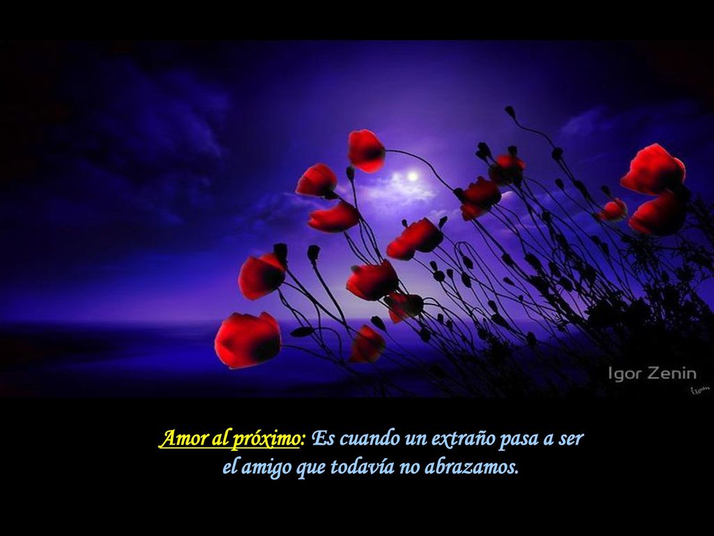 Amor al próximo: Es cuando un extraño pasa a ser el amigo que todavía no abrazamos.