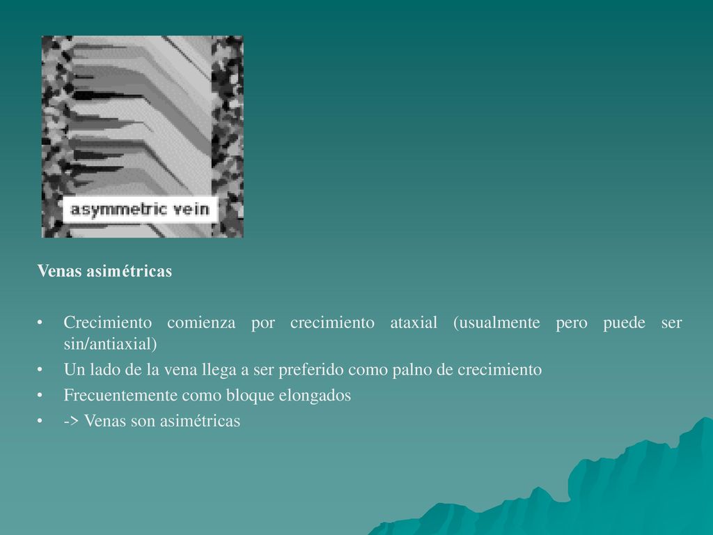 Venas asimétricas Crecimiento comienza por crecimiento ataxial (usualmente pero puede ser sin/antiaxial)