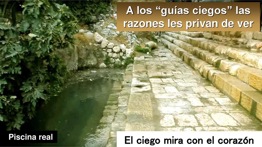 A los guías ciegos las razones les privan de ver