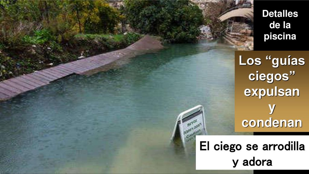 Los guías ciegos expulsan El ciego se arrodilla y adora