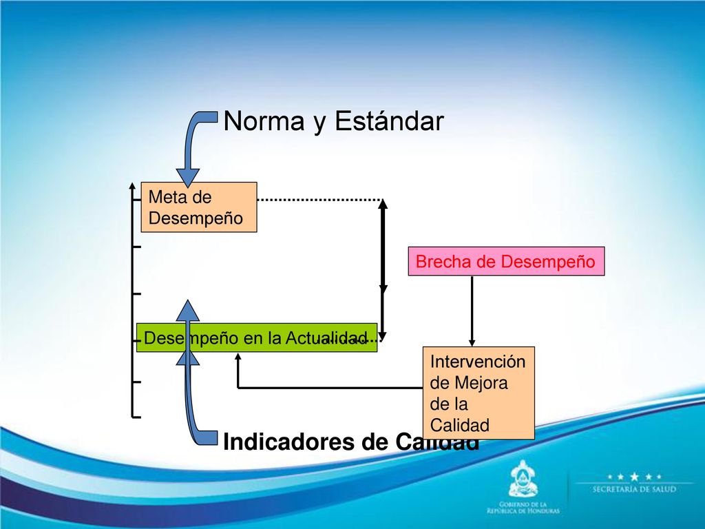 Norma y Estándar Indicadores de Calidad Meta de Desempeño