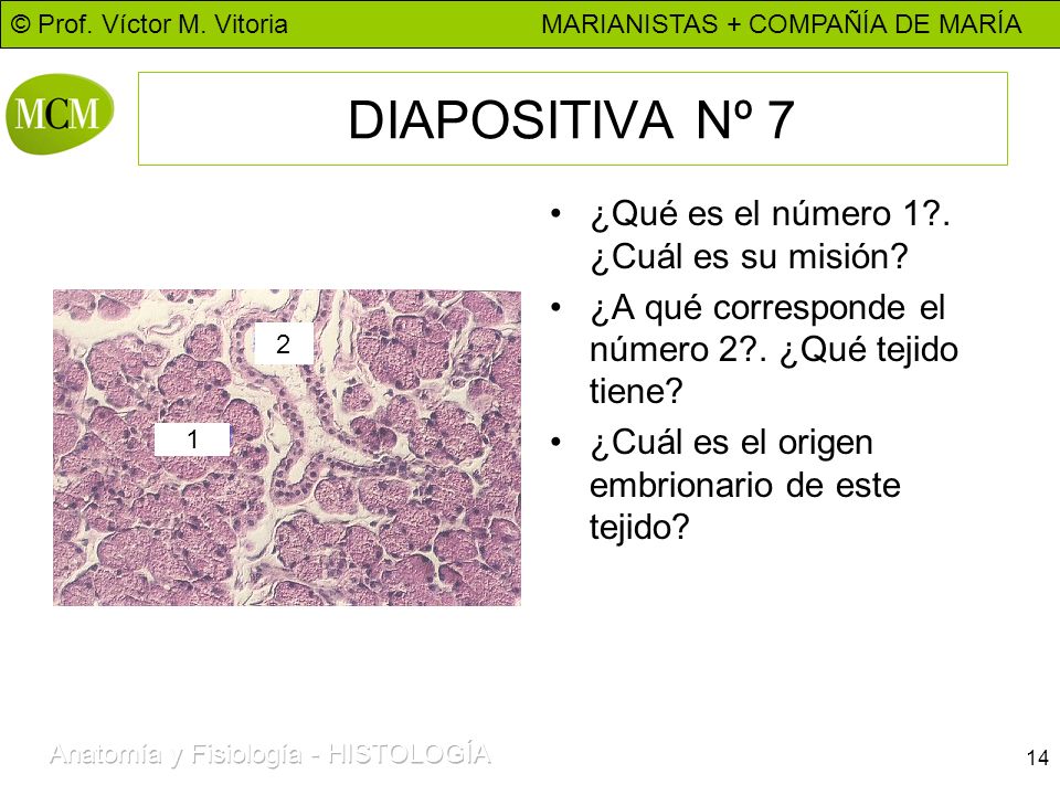 DIAPOSITIVA Nº 7 ¿Qué es el número 1 . ¿Cuál es su misión