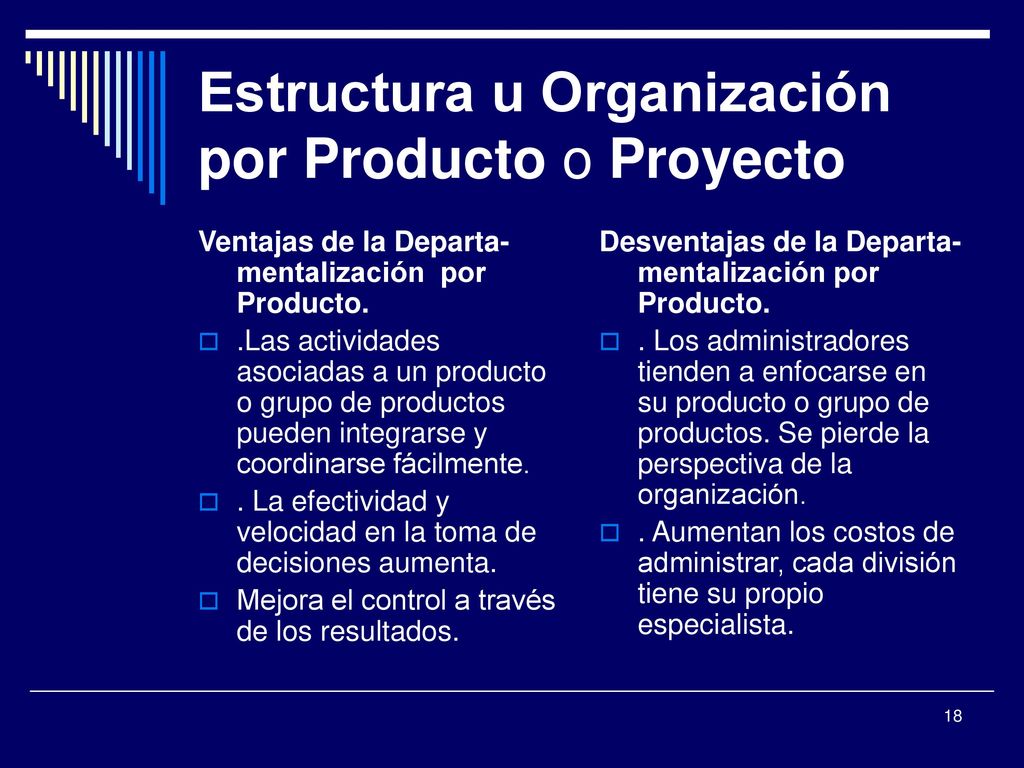 Estructura u Organización por Producto o Proyecto