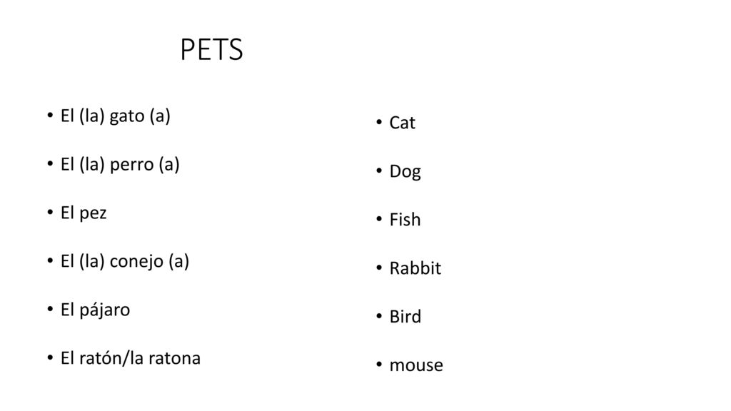 PETS El (la) gato (a) Cat El (la) perro (a) Dog El pez Fish