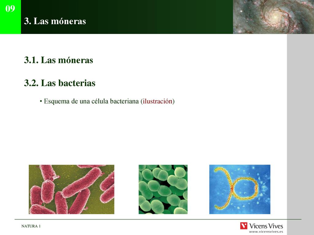 09 3. Las móneras 3.1. Las móneras 3.2. Las bacterias