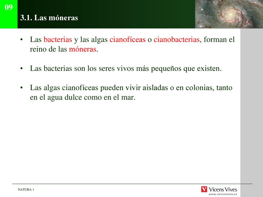 Las móneras. Las bacterias y las algas cianofíceas o cianobacterias, forman el reino de las móneras.