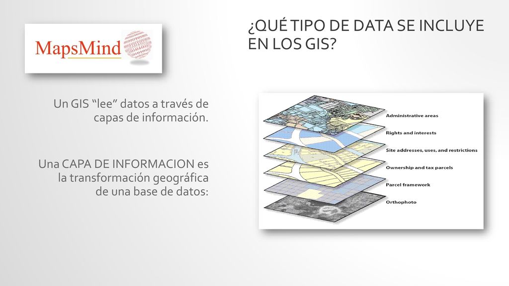 ¿Qué tipo de DATA se incluye en los GIS