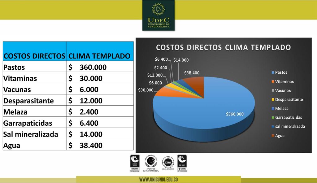 COSTOS DIRECTOS CLIMA TEMPLADO. Pastos. $ Vitaminas. $ Vacunas. $