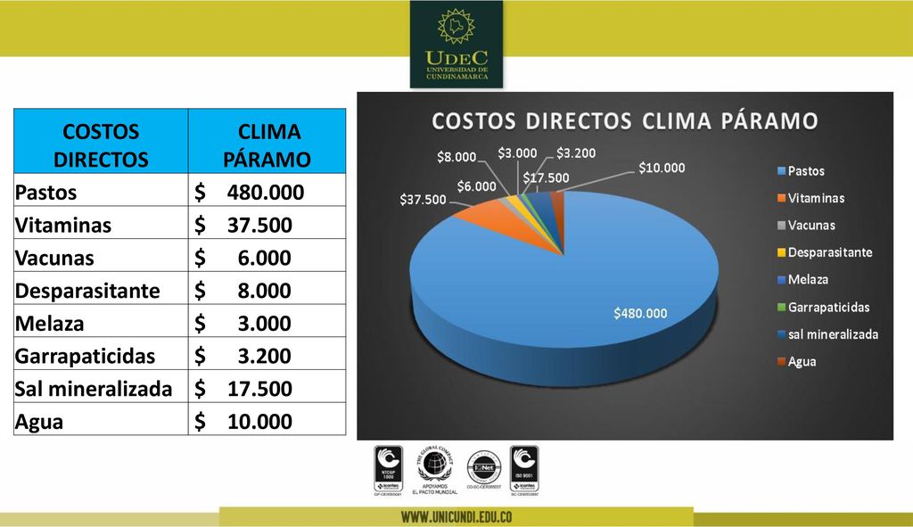 COSTOS DIRECTOS CLIMA PÁRAMO. Pastos. $ Vitaminas. $ Vacunas. $