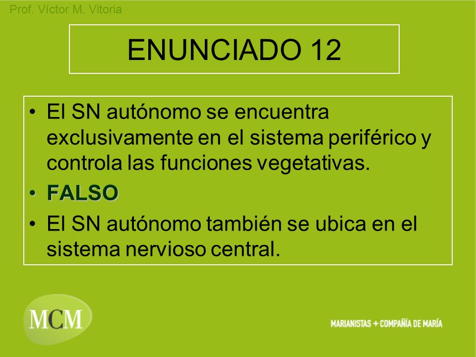 ENUNCIADO 12 El SN autónomo se encuentra exclusivamente en el sistema periférico y controla las funciones vegetativas.