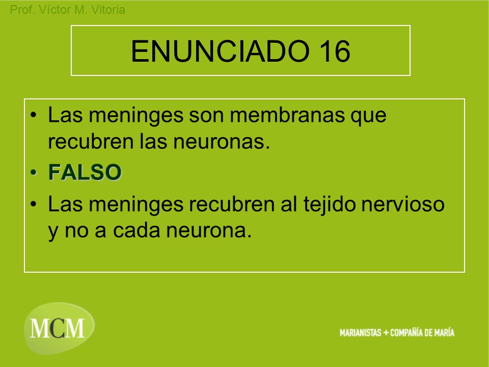 ENUNCIADO 16 Las meninges son membranas que recubren las neuronas.
