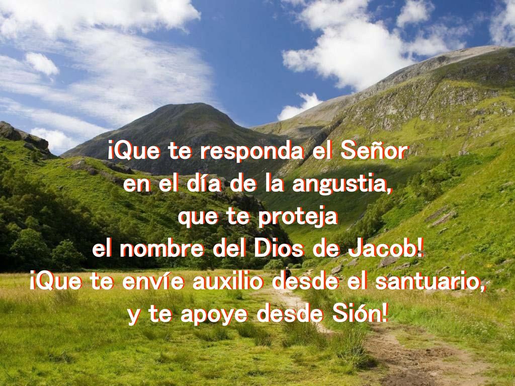 ¡Que te responda el Señor en el día de la angustia, que te proteja