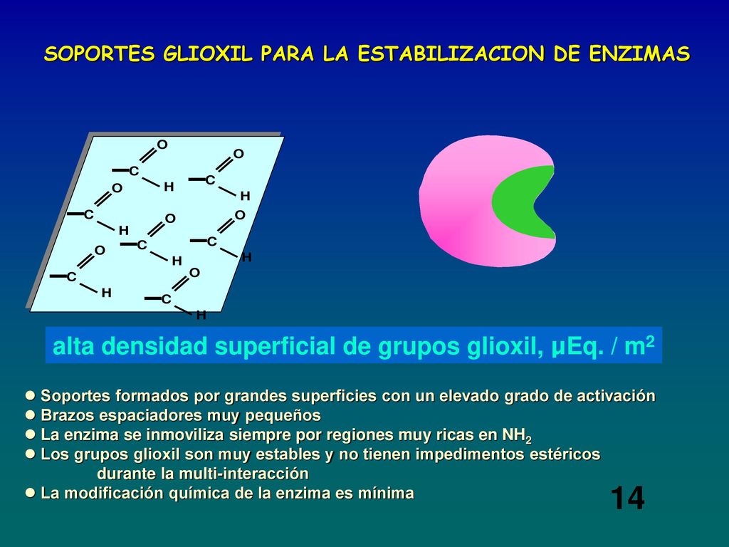 14 alta densidad superficial de grupos glioxil, µEq. / m2