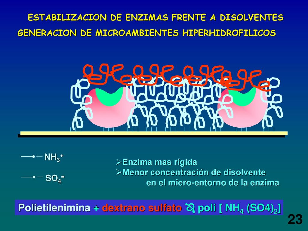 23 Polietilenimina + dextrano sulfato  poli [ NH4 (SO4)2]