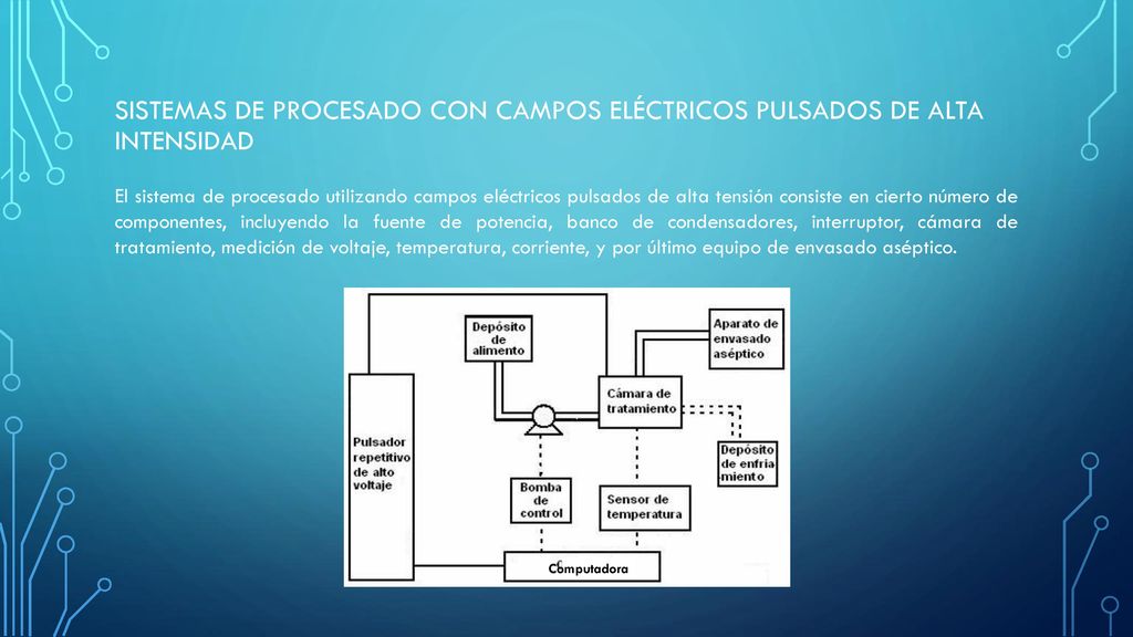 Sistemas de procesado con campos eléctricos pulsados de alta intensidad