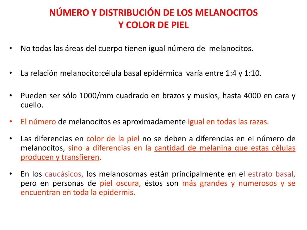 NÚMERO Y DISTRIBUCIÓN DE LOS MELANOCITOS Y COLOR DE PIEL