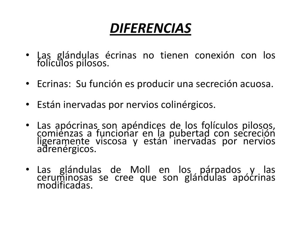 DIFERENCIAS Las glándulas écrinas no tienen conexión con los folículos pilosos. Ecrinas: Su función es producir una secreción acuosa.