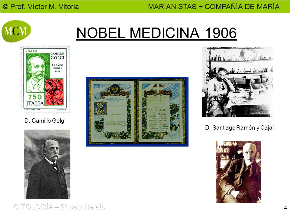 NOBEL MEDICINA 1906 D. Camillo Golgi D. Santiago Ramón y Cajal