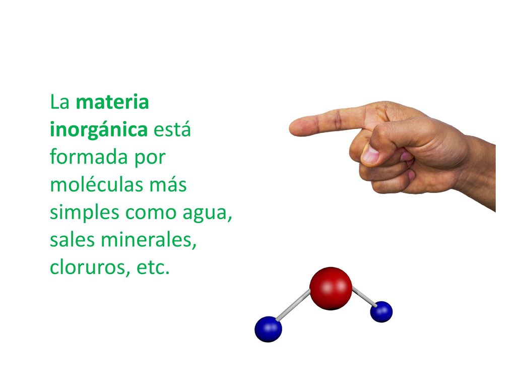 La materia inorgánica está formada por moléculas más simples como agua, sales minerales, cloruros, etc.