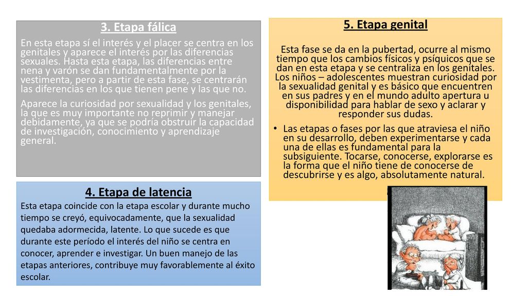 5. Etapa genital 3. Etapa fálica 4. Etapa de latencia