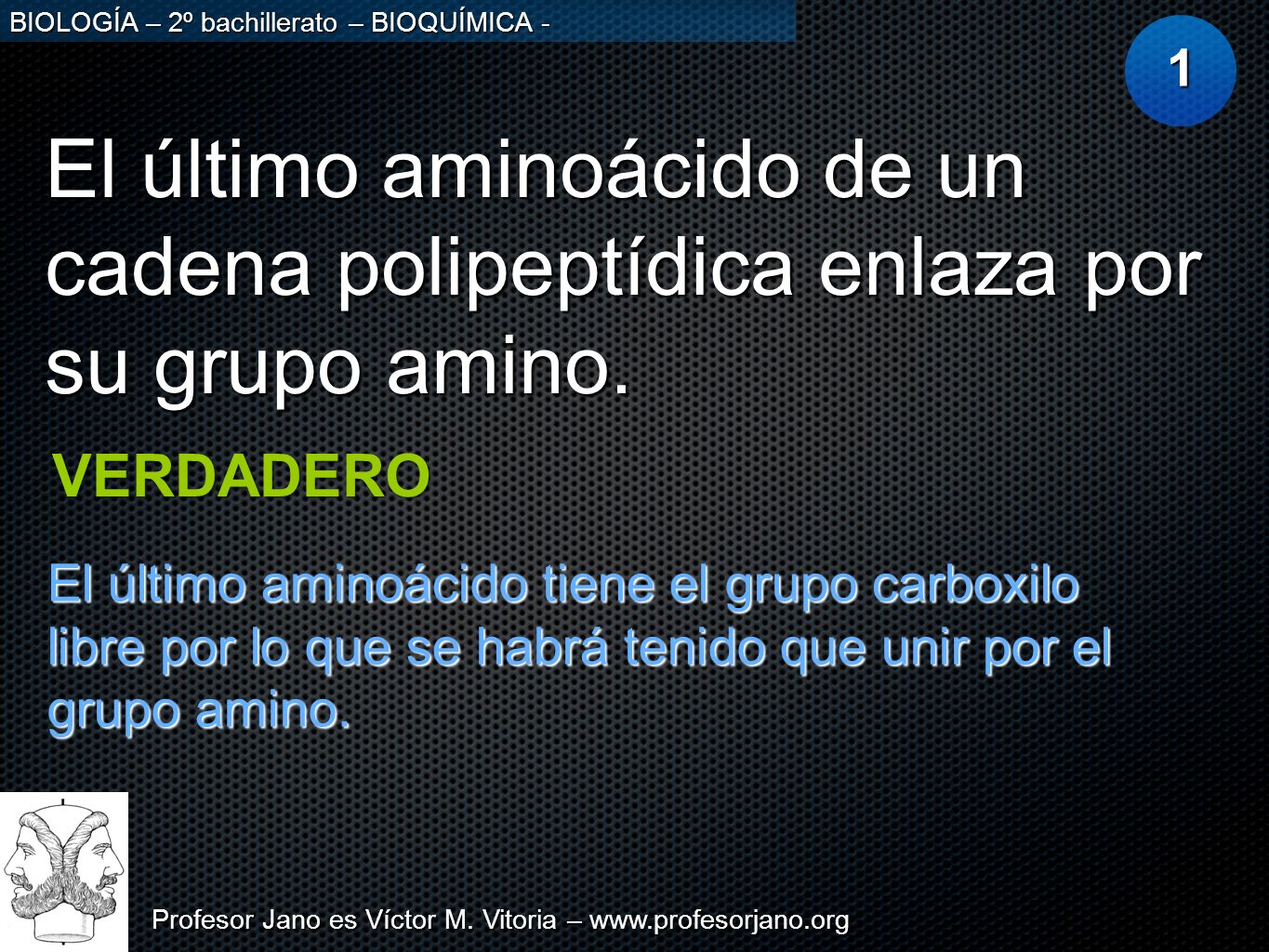 1 El último aminoácido de un cadena polipeptídica enlaza por su grupo amino. VERDADERO.
