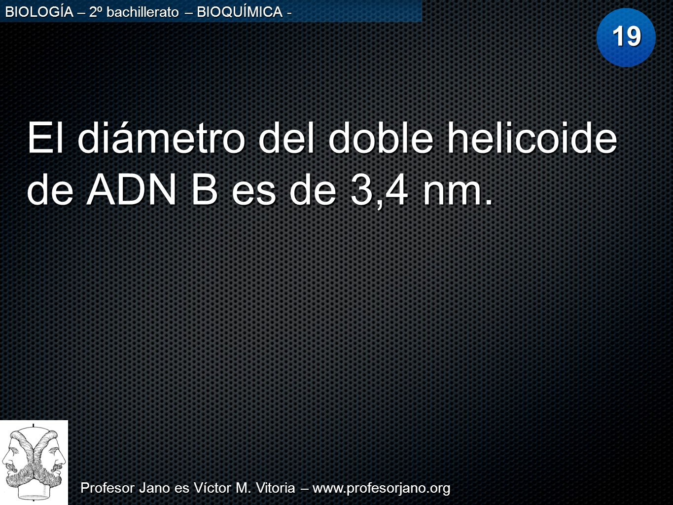 El diámetro del doble helicoide de ADN B es de 3,4 nm.