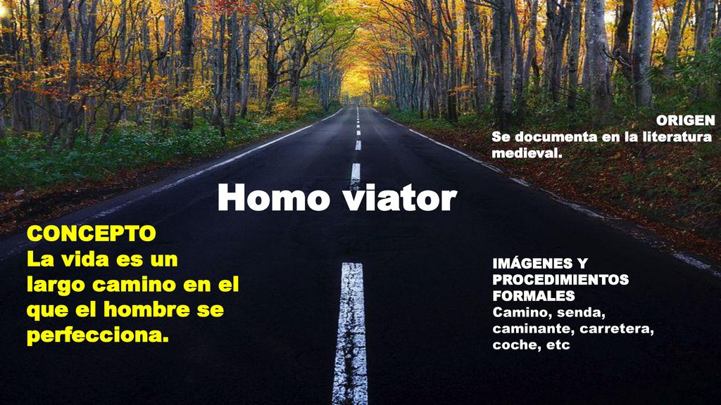 ORIGEN Se documenta en la literatura medieval. Homo viator. CONCEPTO. La vida es un largo camino en el que el hombre se perfecciona.