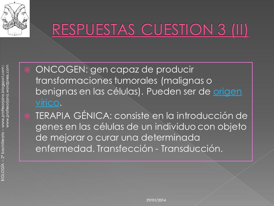 RESPUESTAS CUESTION 3 (II)