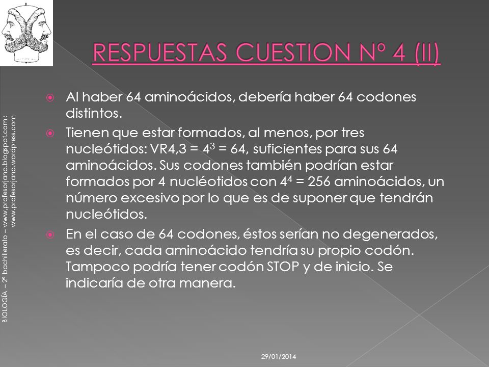 RESPUESTAS CUESTION Nº 4 (II)