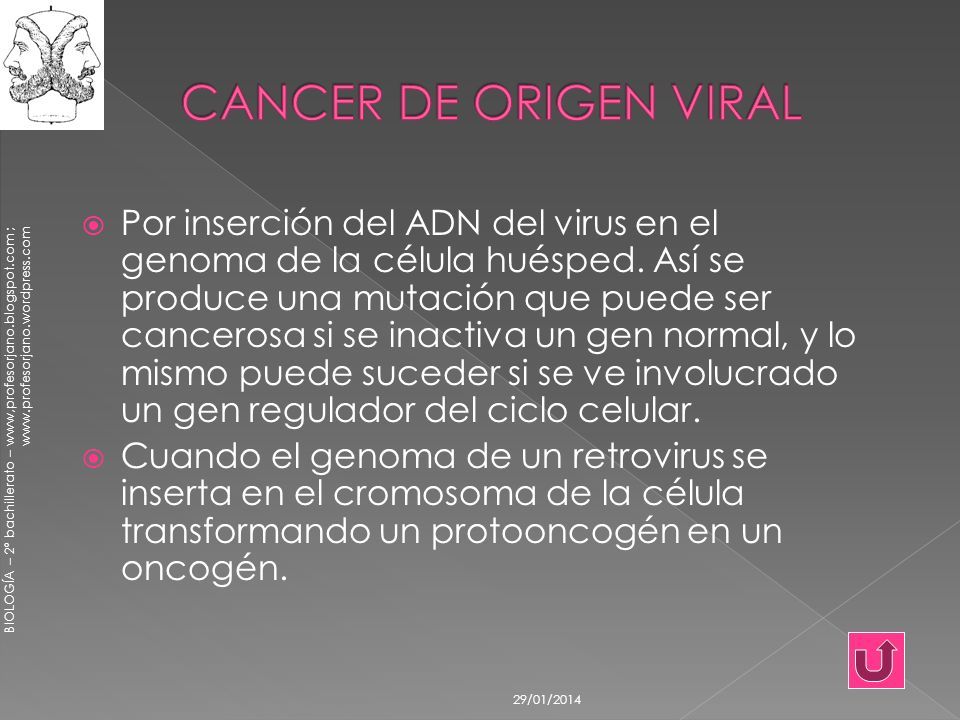 CANCER DE ORIGEN VIRAL