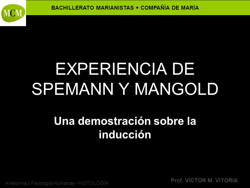 EXPERIENCIA DE SPEMANN Y MANGOLD