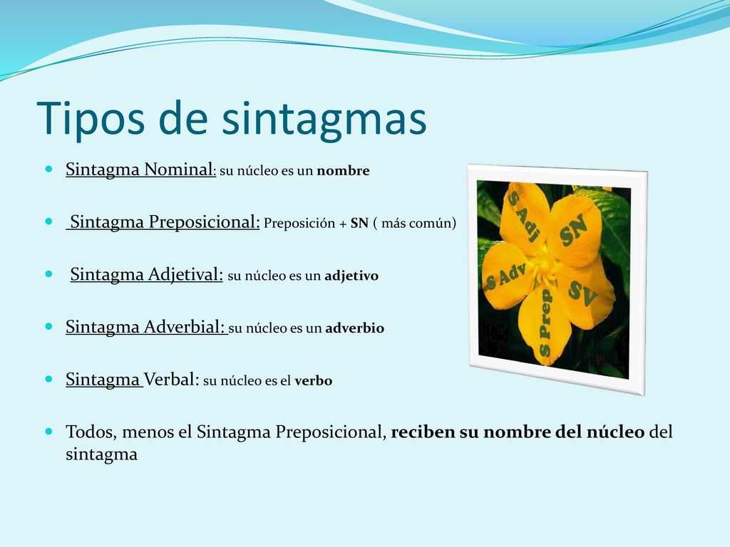 Tipos de sintagmas Sintagma Nominal: su núcleo es un nombre