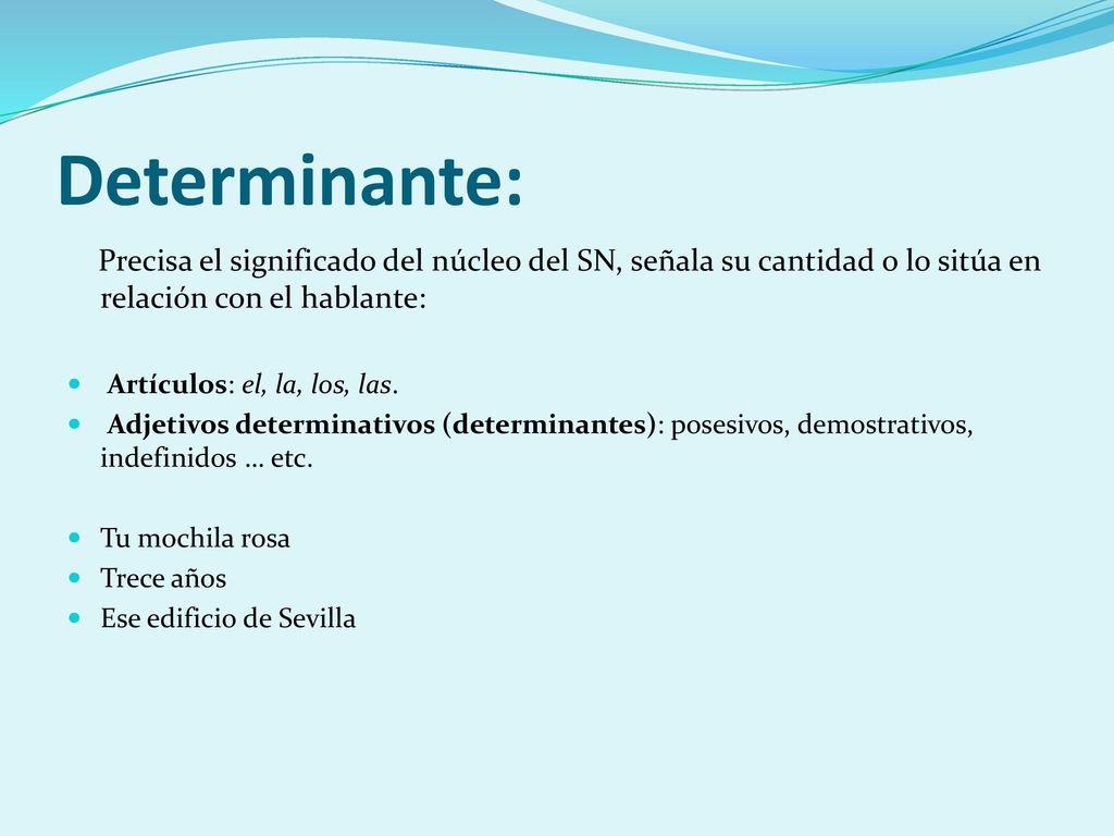 Determinante: Precisa el significado del núcleo del SN, señala su cantidad o lo sitúa en relación con el hablante: